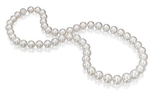 Round South Sea Pearl Necklace